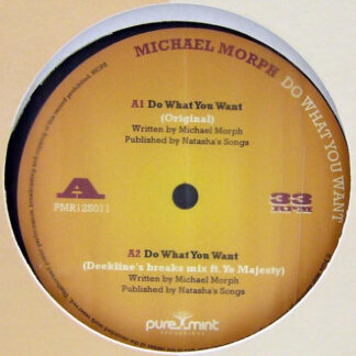 Michael Morph - Do What You Want