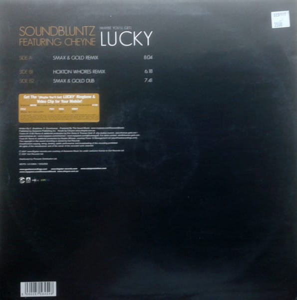 The Sound Bluntz Featuring Cheyne Coates - (Maybe You'll Get) Lucky - Image 2